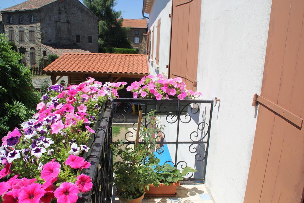 La Maison Des Chats Saint-Mary-le-Plain المظهر الخارجي الصورة