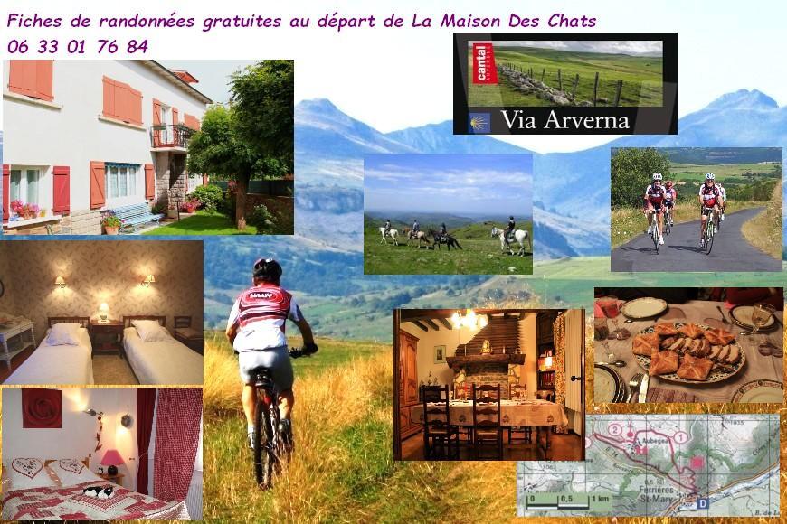 La Maison Des Chats Saint-Mary-le-Plain المظهر الخارجي الصورة